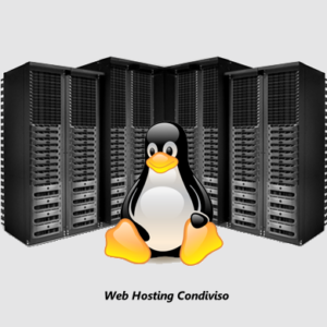 Hosting Condiviso Linux Professionale