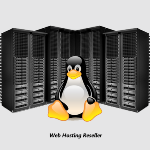 Hosting Reseller Linux Intermedio